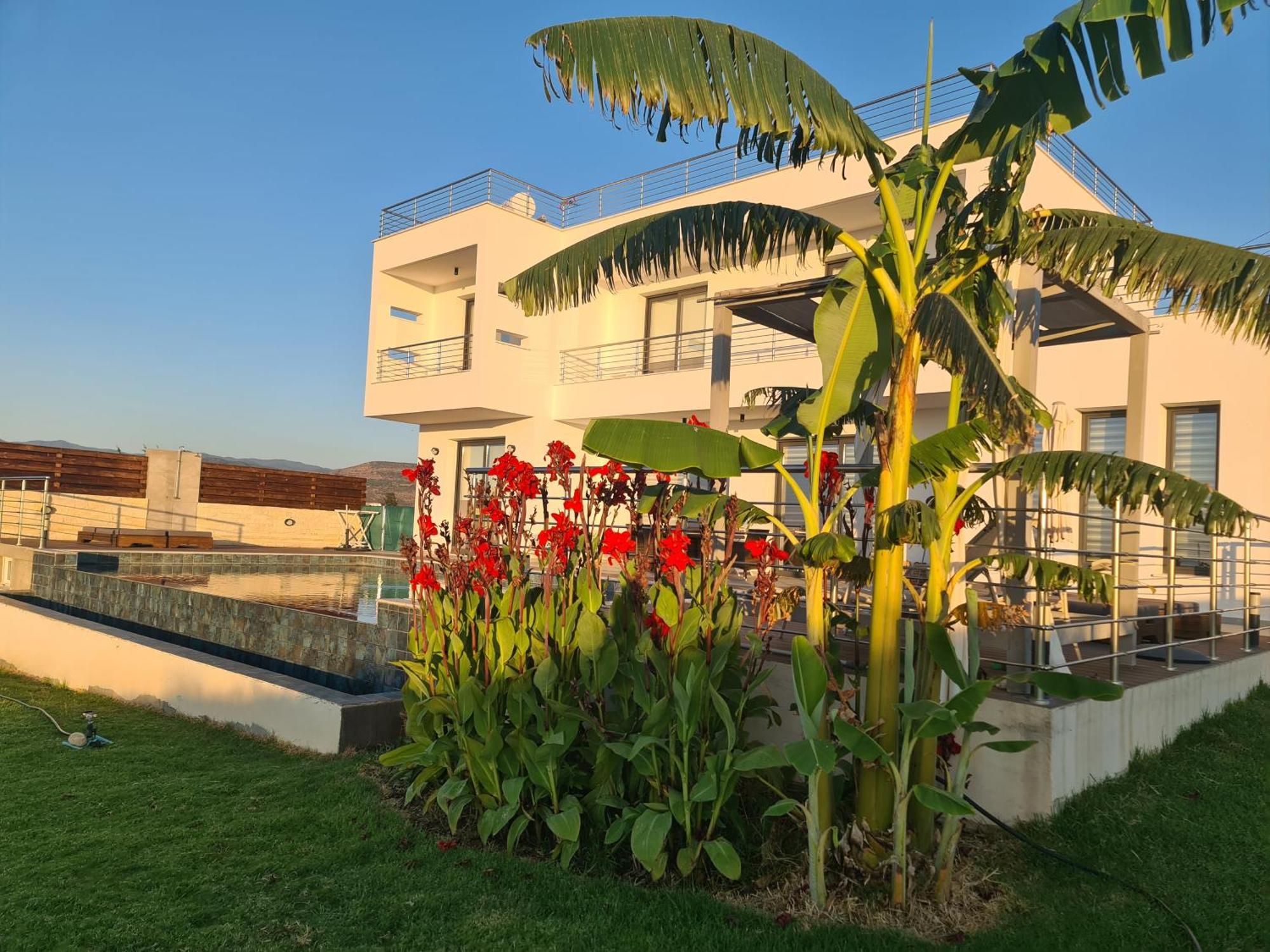 Eva Luxury Villa Lachi Exterior photo